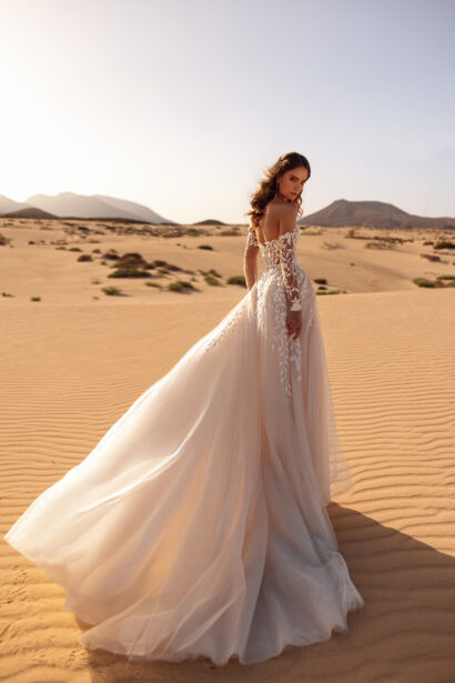 Dama Couture Tamara A-lijn trouwjurk met transparante kanten top en blush ondertoon